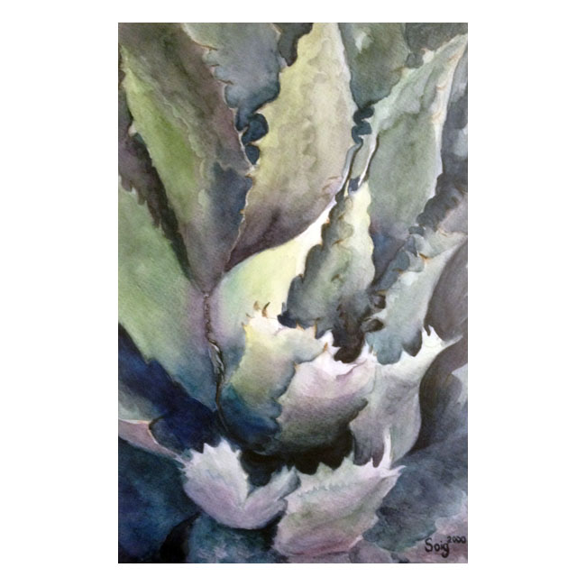 Cactus acuarela