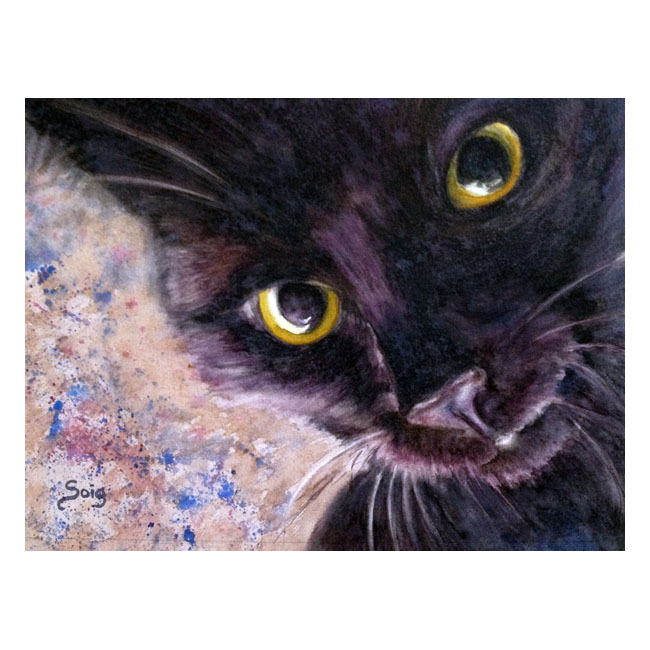 Un Gato Negro acuarela