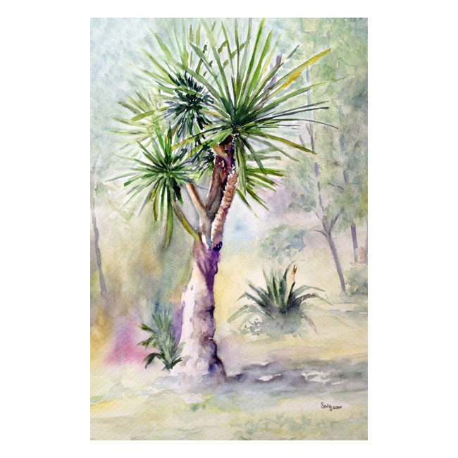 Yuca Acuarela