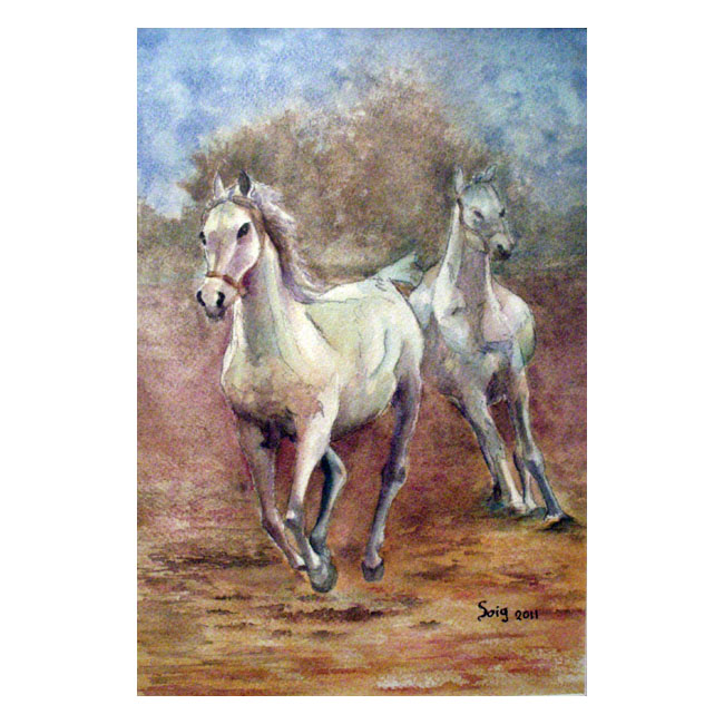 Caballos acuarela
