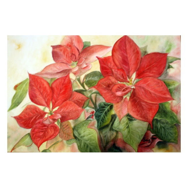 Flor de Nochebuena acuarela