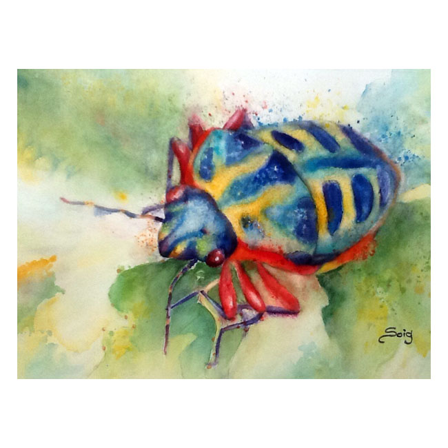 Insecto acuarela