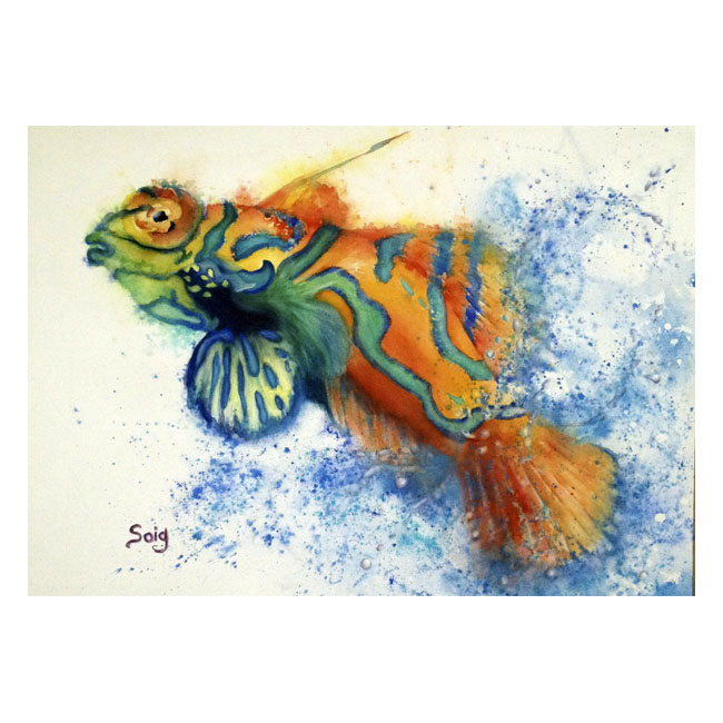 Pez Tropical acuarela