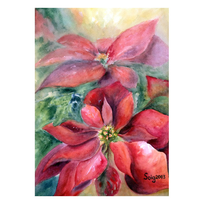 Flor de Nochebuena acuarela 