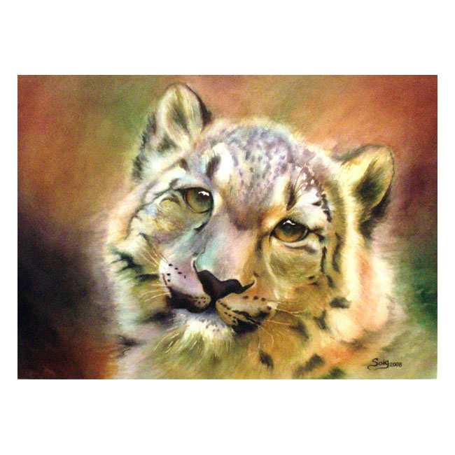 Leopardo de las Nieves acuarela